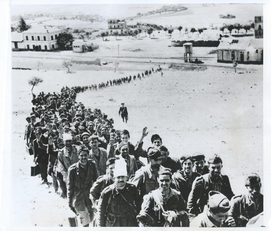 600 Italian Soldiers Surrender in Sicily. 1943.